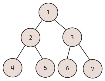 Perfect Binary Tree